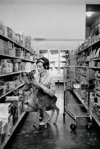 Audrey Hepburn fazendo compras com seu filhote de veado Pippin (ou Ip, como ela costumava chamar) em Beverly Hills, em 1958